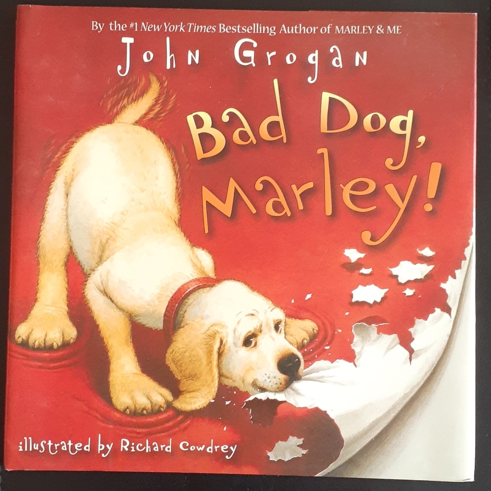 Children's picture books